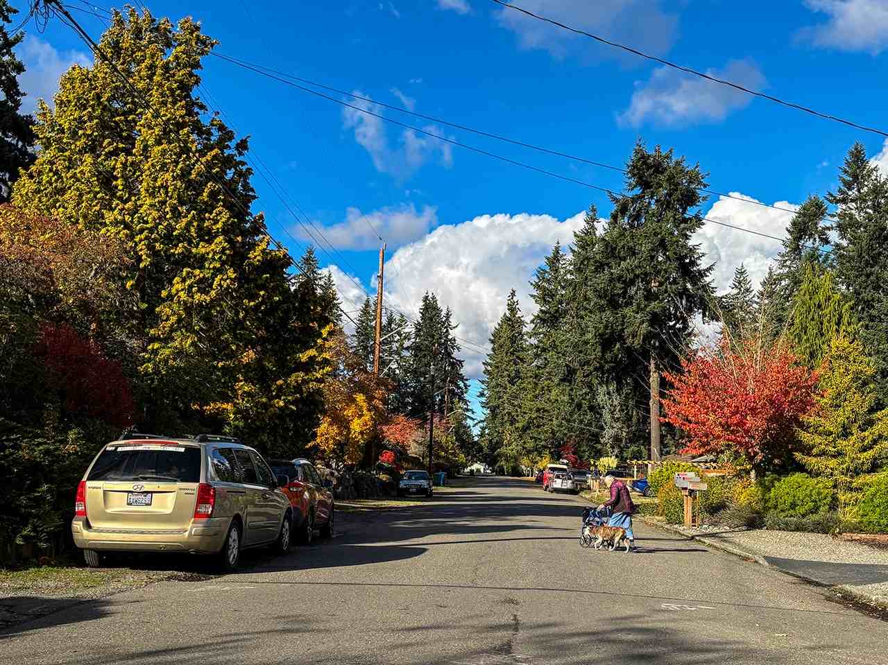 18526 Wallingford Ave N #B - Photo 2 of 28