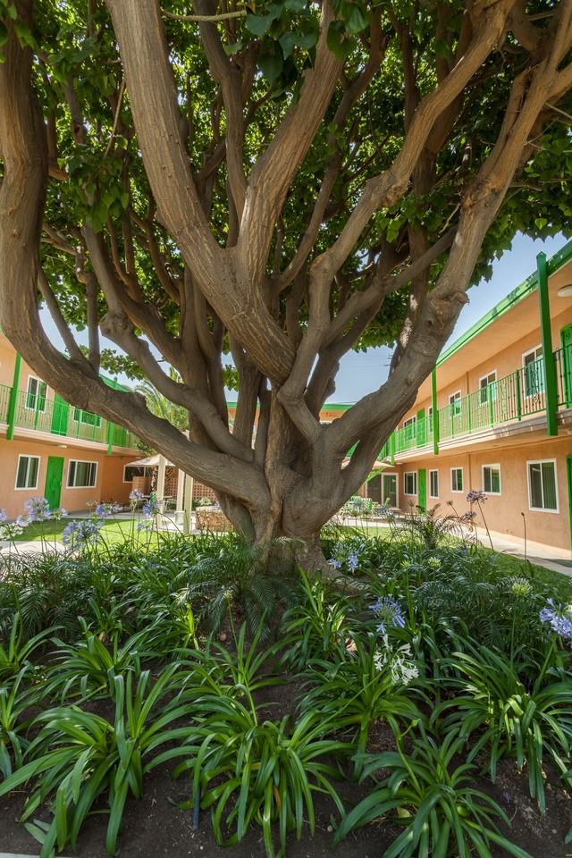 17908 Woodruff Avenue - Photo 5 of 35