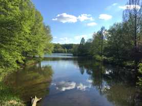 7753 New Providence Dr - Photo 1 of 1