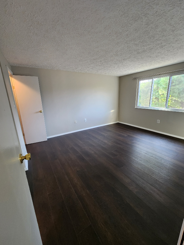 19529 Gunners Branch Road - Photo 6 of 19