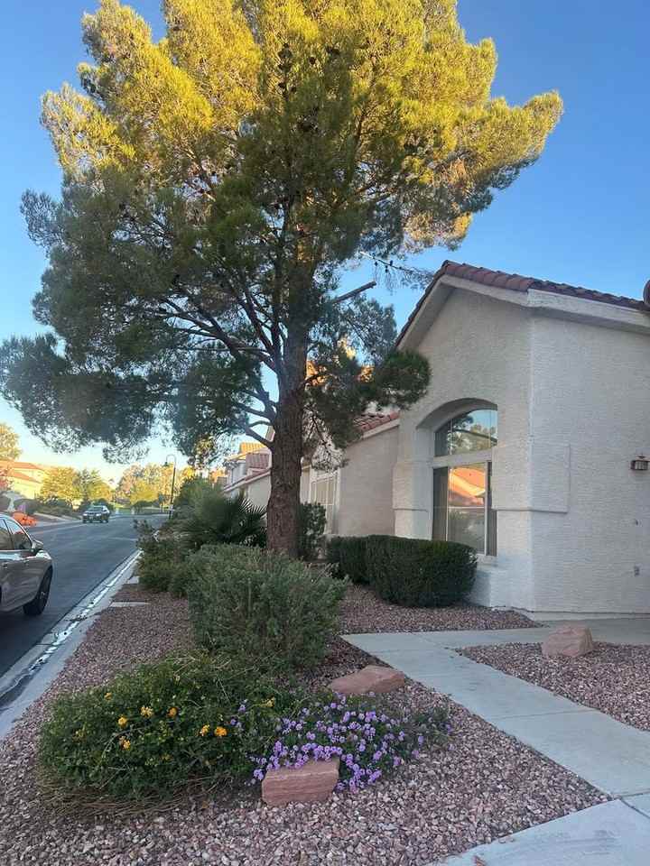5112 Forest Oaks Dr - Photo 2 of 41