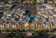 Avery - Photo 1 of 1