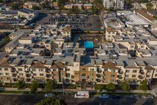 Avery - Photo 1 of 1