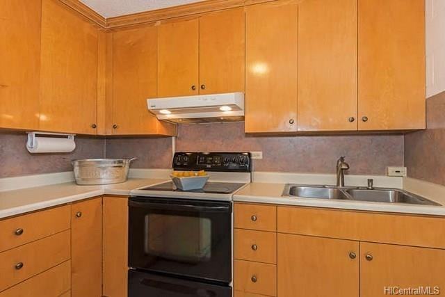 1210 Wilder Avenue #303 - Photo 3 of 21