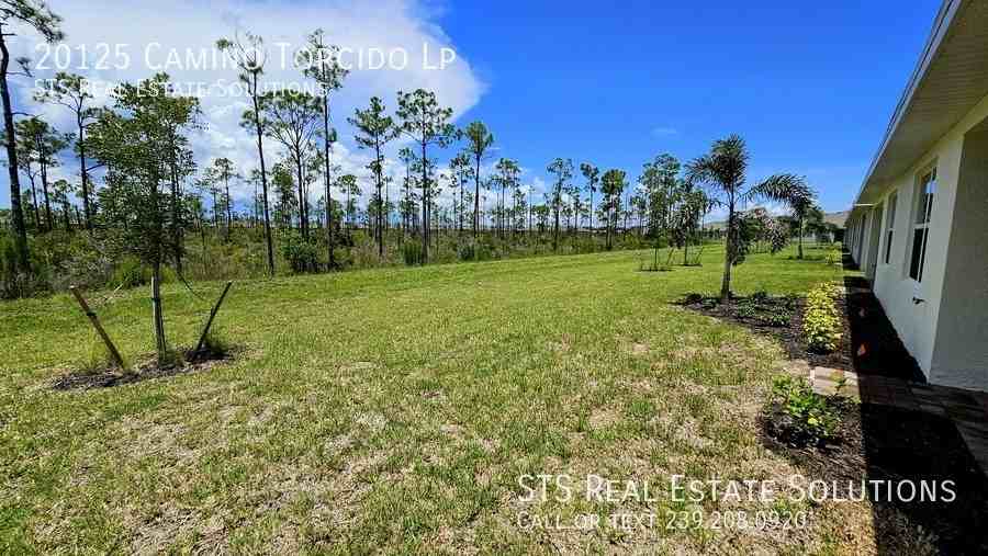20125 Camino Torcido Loop - Photo 3 of 32
