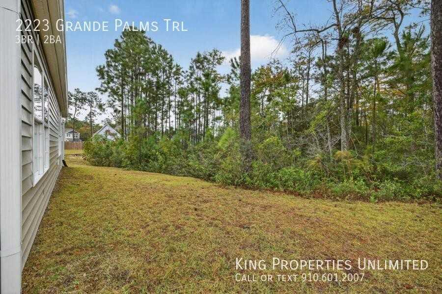 2223 Grande Palms Trl Se - Photo 7 of 34