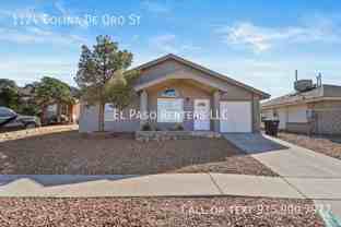 1124 Colina De Oro St - Photo 1 of 1