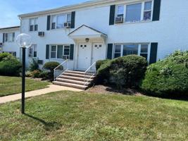 featured image of 49 Garfield Park #4902