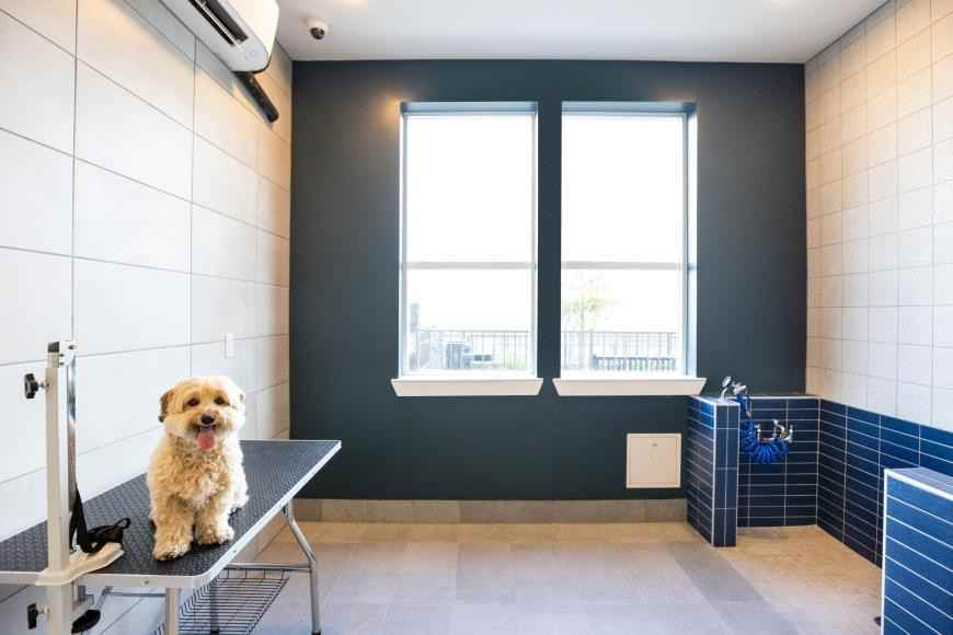 3006 Summer Street - Photo 5 of 10