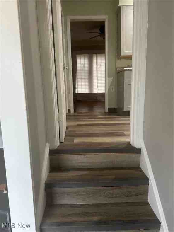 3986 Bluestone Rd - Photo 3 of 34