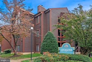 2815 Lee Oaks Ct Unit 302 #302 - Photo 1 of 1