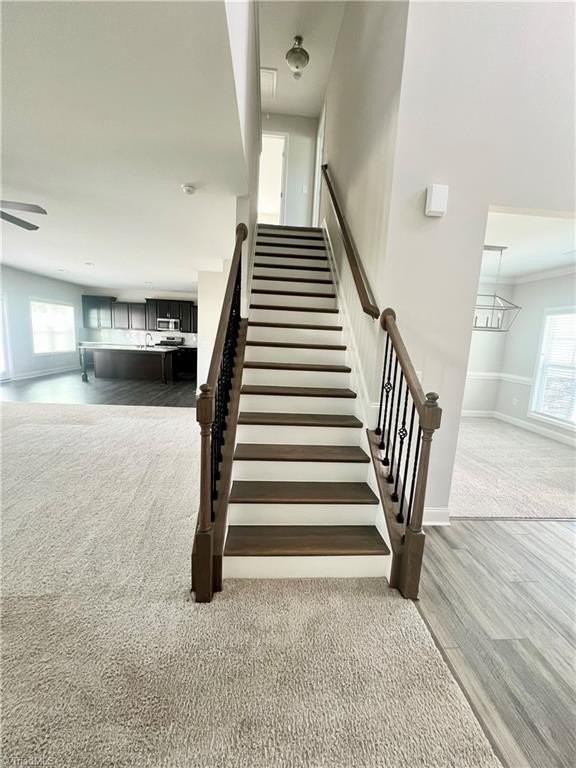 2101 Owls View Ln - Photo 5 of 50