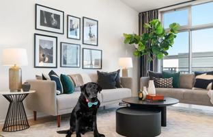 featured image of 1325 Indiana St