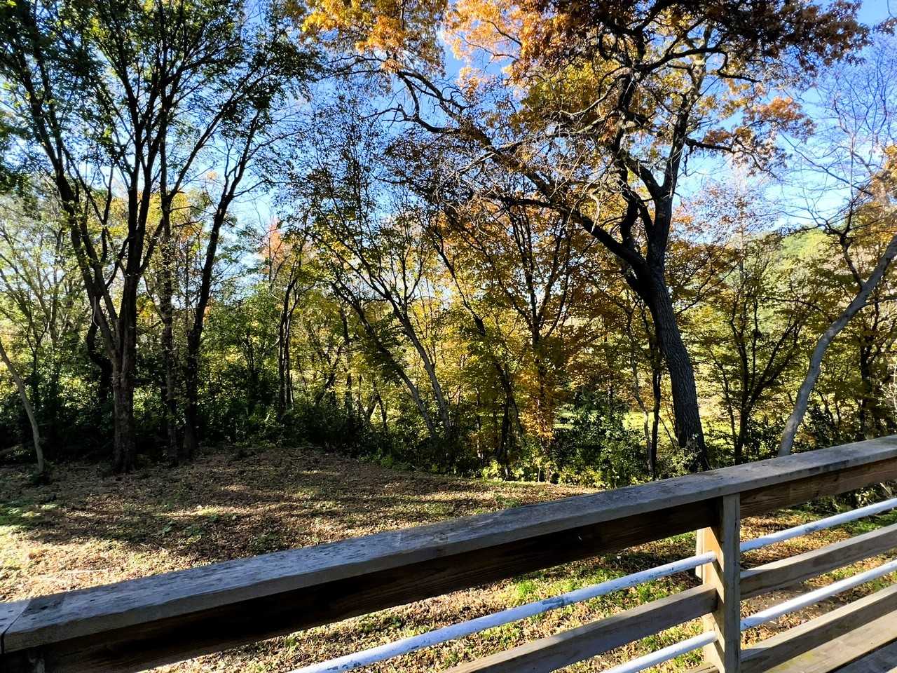 11516 Oakvale Road North - Photo 7 of 17