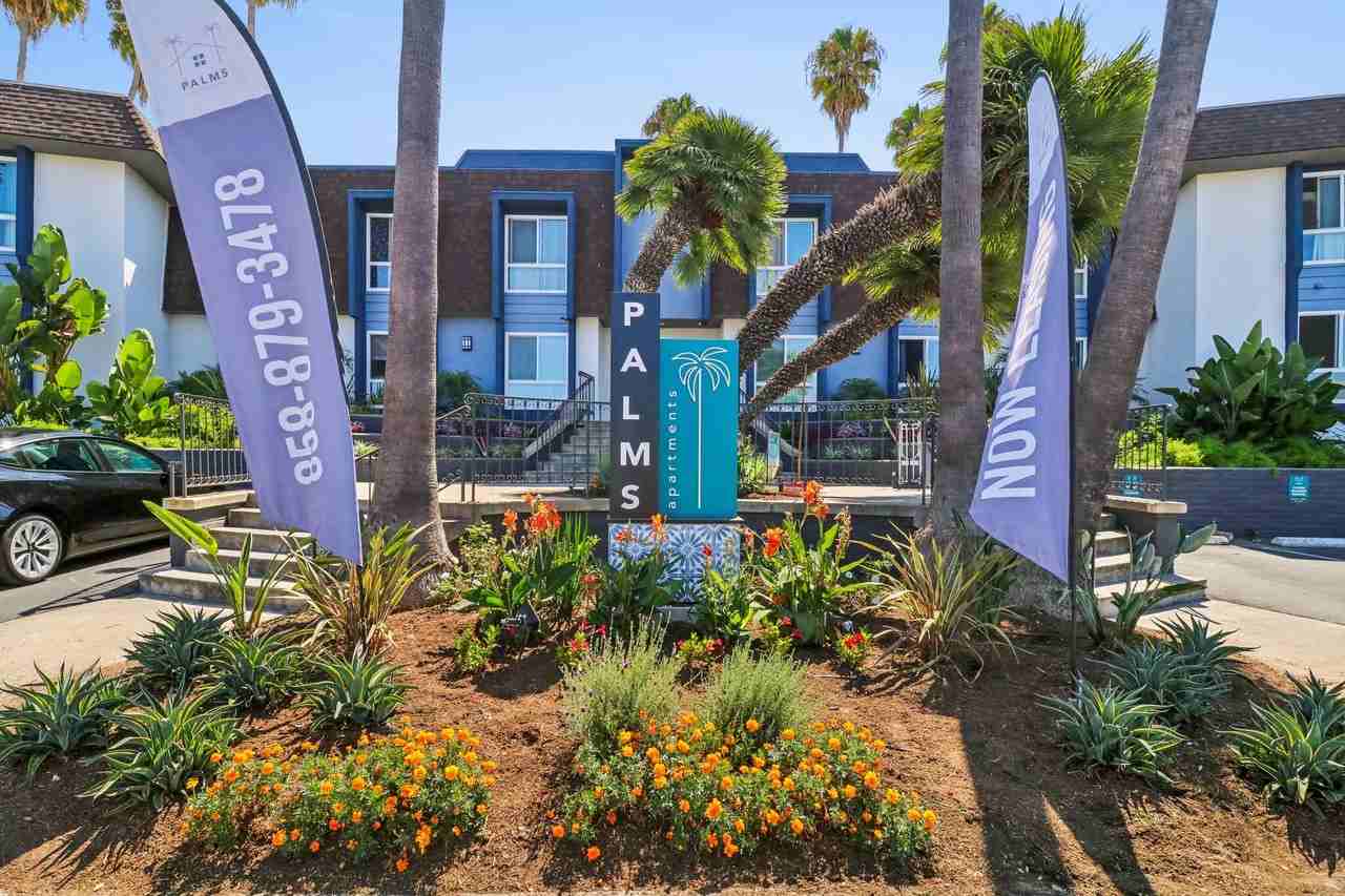 Palms - Photo 3 of 25