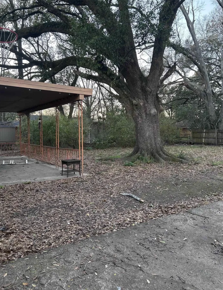 3725 Winbourne Avenue - Photo 4 of 6