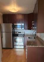 N La Salle Dr & W Division St - Photo 1 of 1