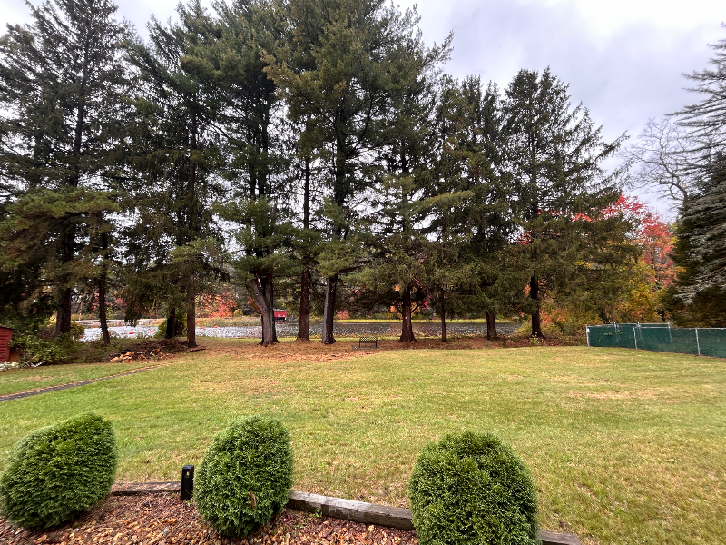 1 Ware Road #A - Photo 3 of 14