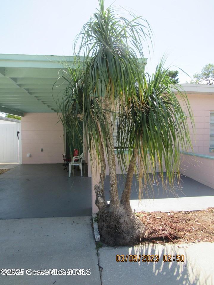 113 Harrison Ave - Photo 4 of 33