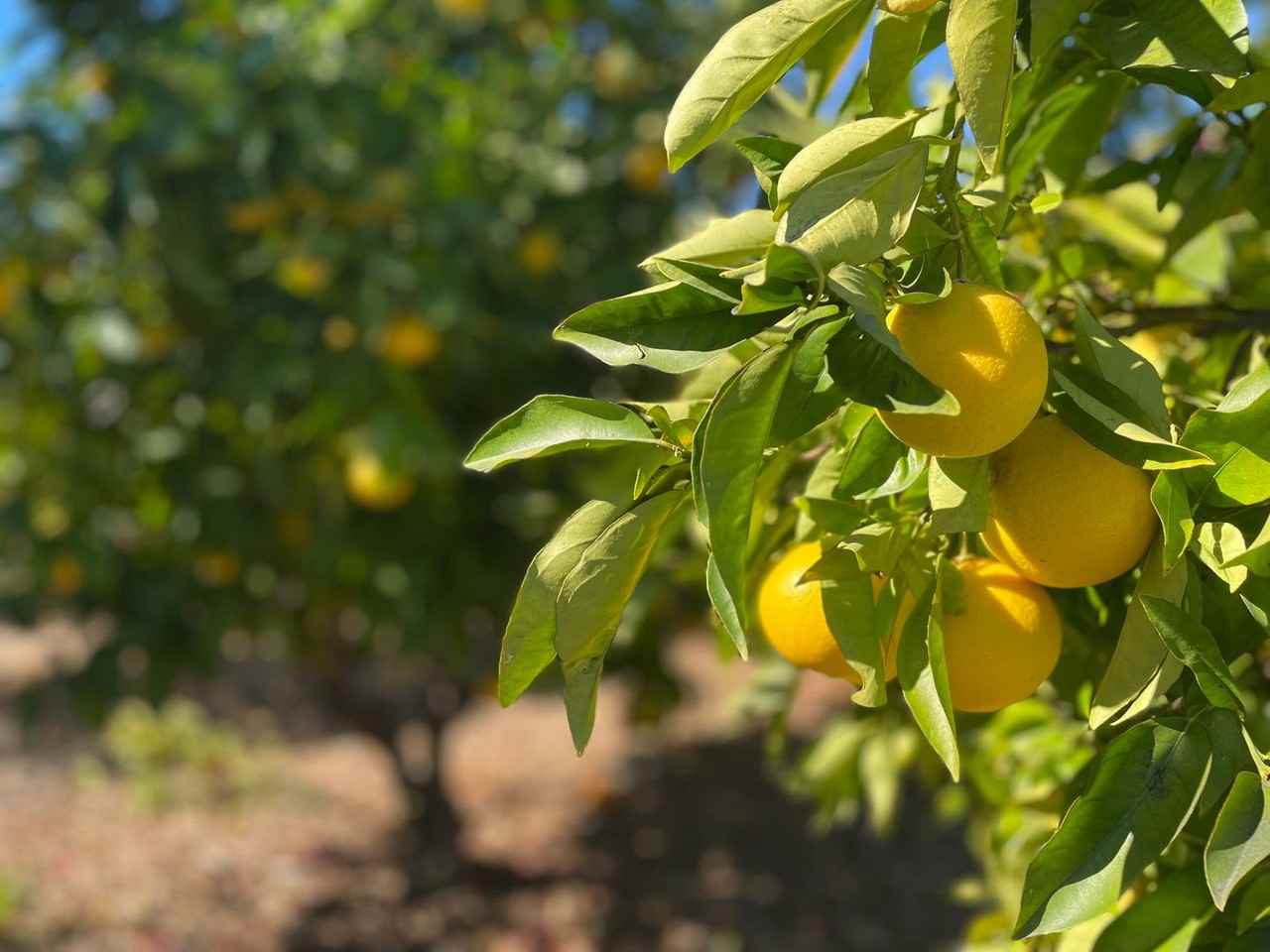 5757 University Ave - Photo 7 of 11