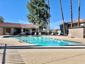 623 West Guadalupe Road #217 - Photo 1 of 1