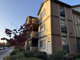 Sierra Point Apartments - Photo 1 of 1