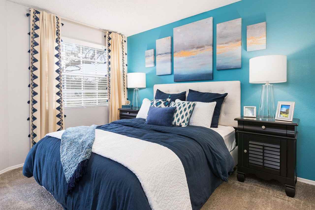 Reserve at Lake Irene - Photo 4 of 50