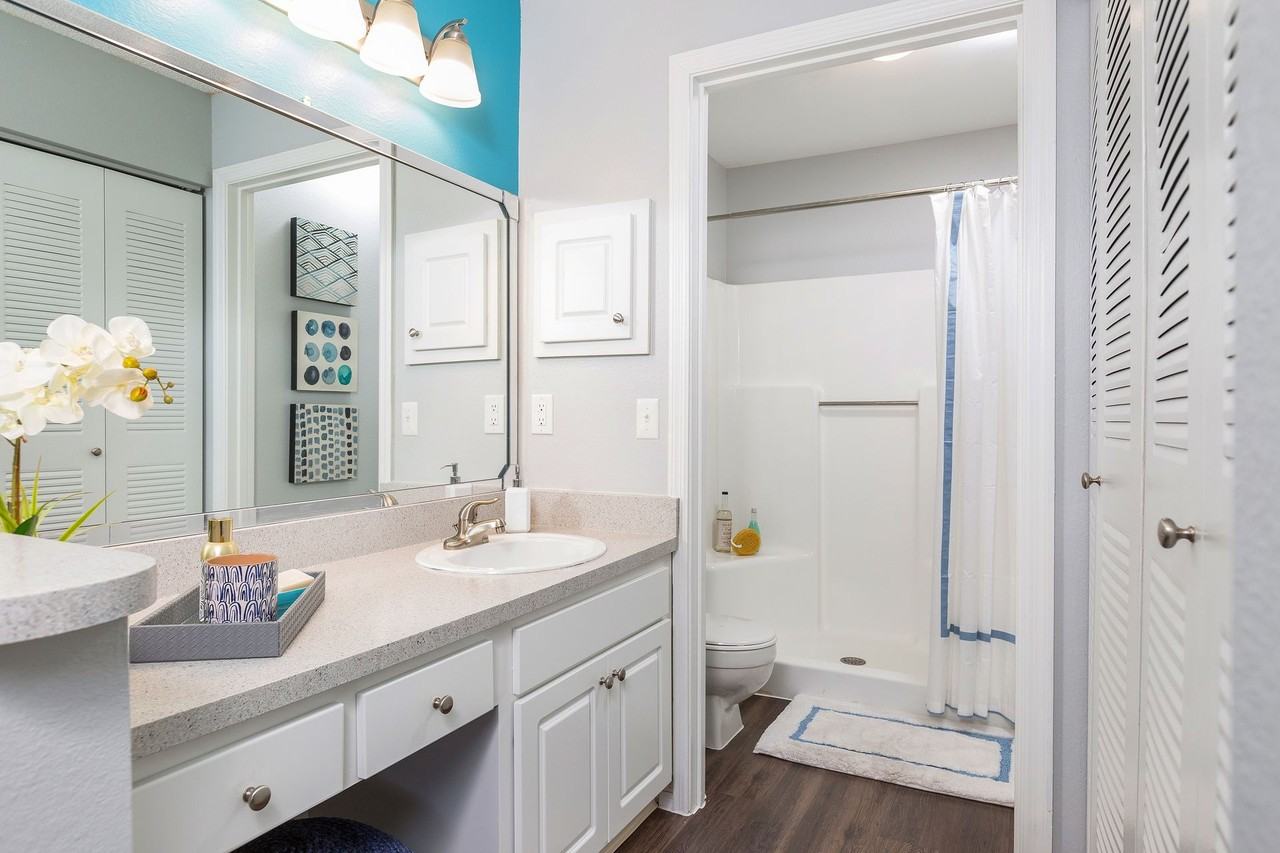 Reserve at Lake Irene - Photo 6 of 50