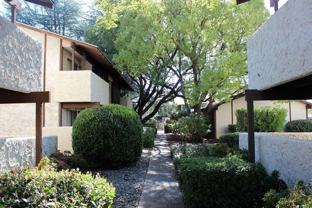 Cedar Grove Apartments - Photo 1 of 1