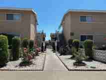 Algrove Apartments - Photo 1 of 1