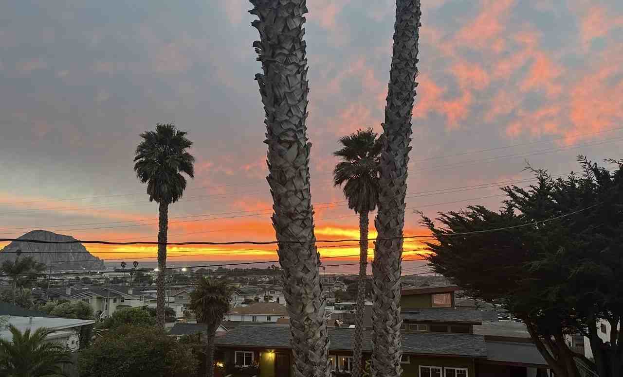 2560 Juniper Avenue #NA - Photo 2 of 17