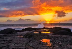 featured image of 135 Loma Vista St