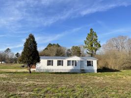 featured image of 310 County Road 109 #NA