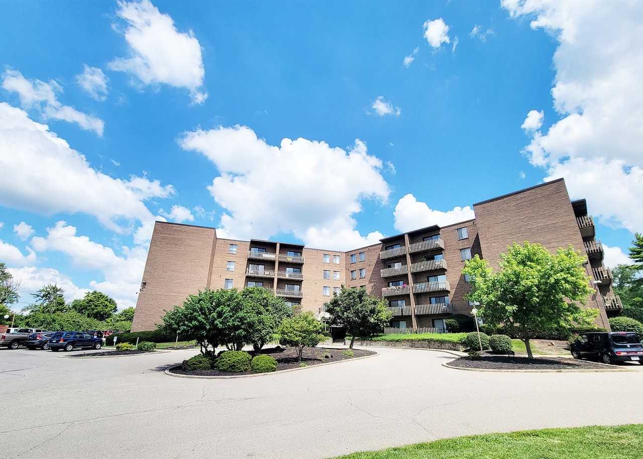 Spyglass - Photo 4 of 10