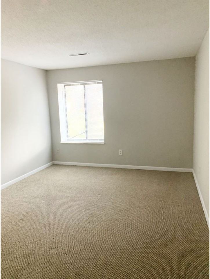 Spyglass - Photo 7 of 10