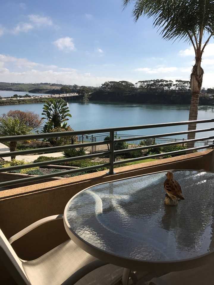 805 Kalpati Circle - Photo 5 of 24