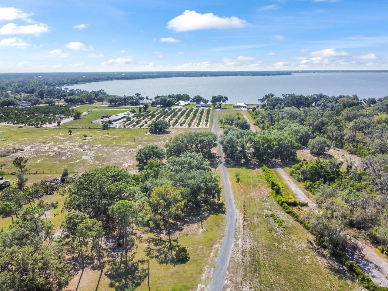 1850 South Lake Reedy Boulevard - Photo 3 of 45