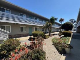 Welcome home to 233/235 Carmel Avenue, Marina! - Photo 1 of 1