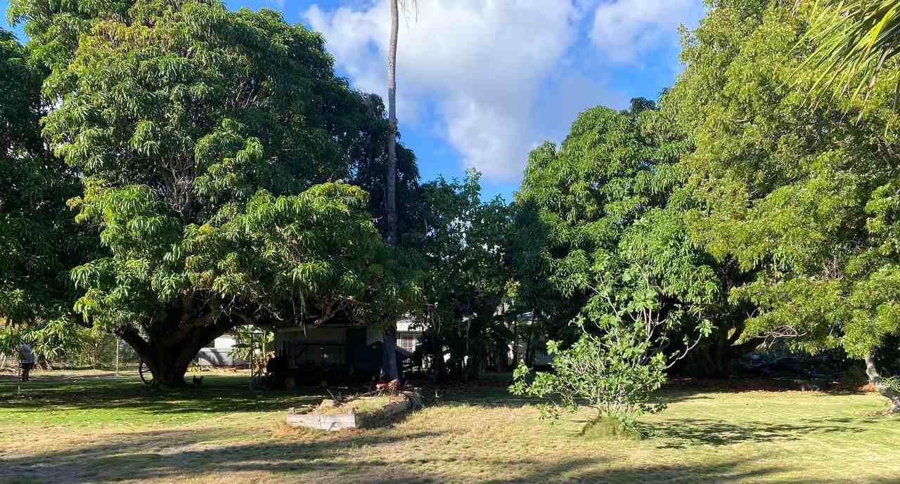 8492 Elepaio Rd - Photo 2 of 14