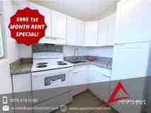 2633 Nakookoo St #9 - Photo 1 of 1