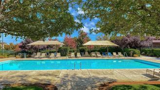 11518 Belmont Lake Dr #102 - Photo 1 of 1