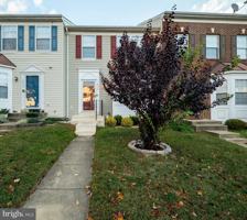 featured image of 3317 Hibiscus Ct