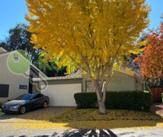 featured image of 2692 Bradford Way