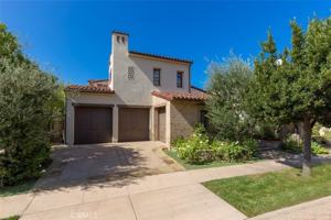 featured image of 30 Surfspray Blf