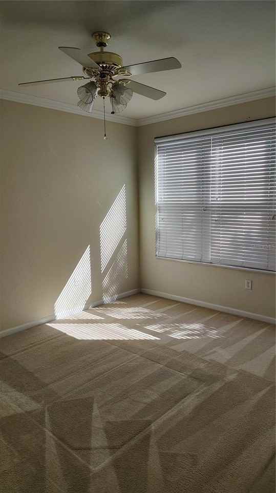 505 Hockendale Cv - Photo 5 of 11