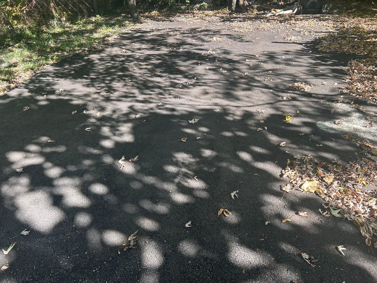 East 86th Street - Photo 5 of 35