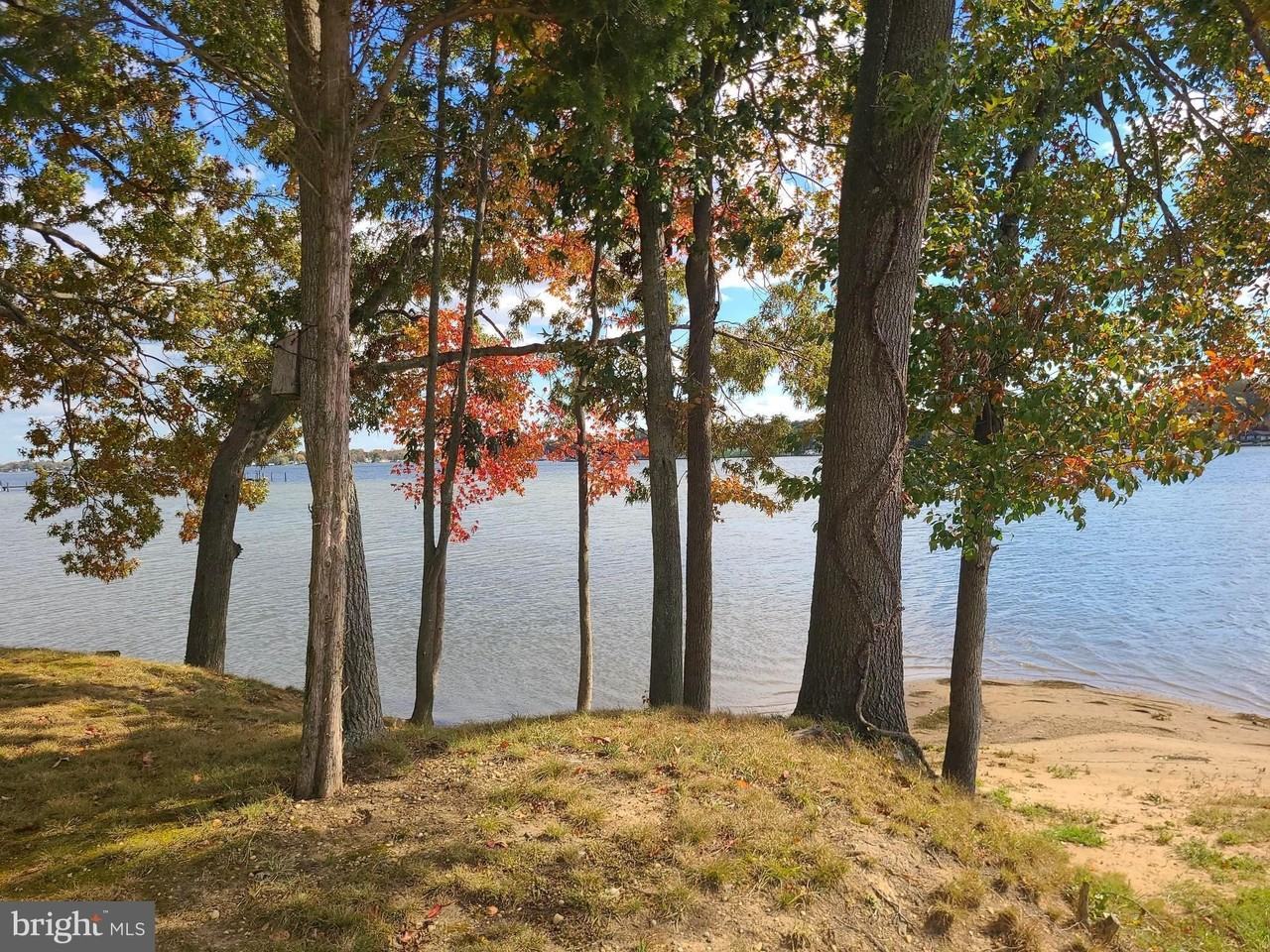 11003 Bowerman Road - Photo 4 of 39