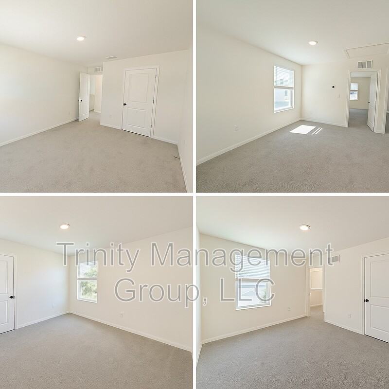 13686 Whiskey Daisy Dr - Photo 7 of 10