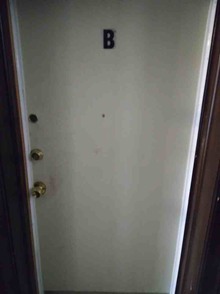 Wood - Photo 2 of 13