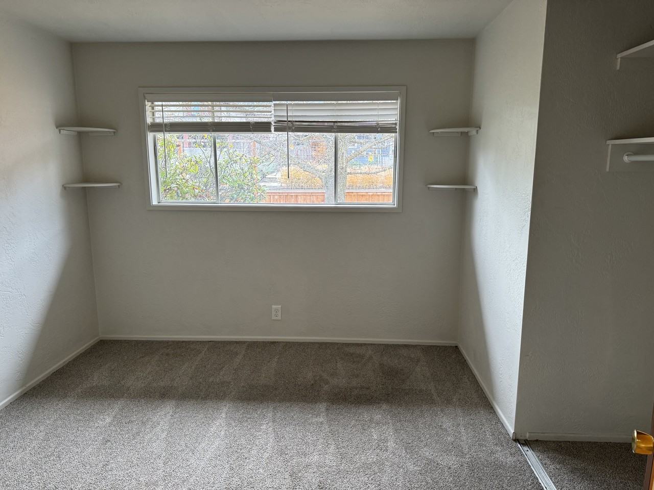 Livni Trust - Photo 5 of 8